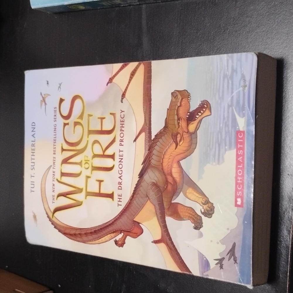 Wings of Fire Series paperback  Book 1 "The Dragon Prophecy"